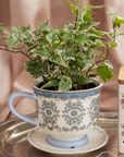 Decorative teacup with a plant inside on a table