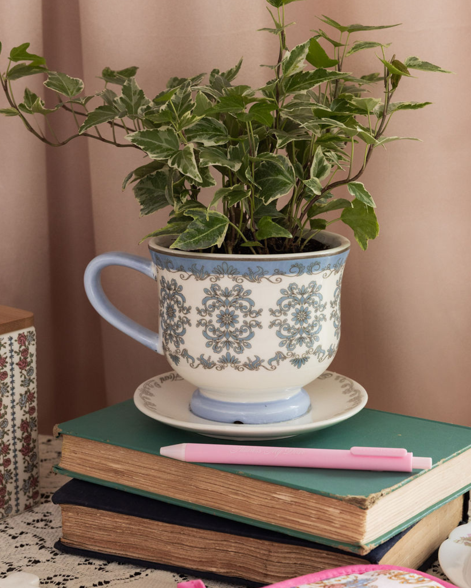 Decorative cup with plant, books, and pen on a table against a pink wall.