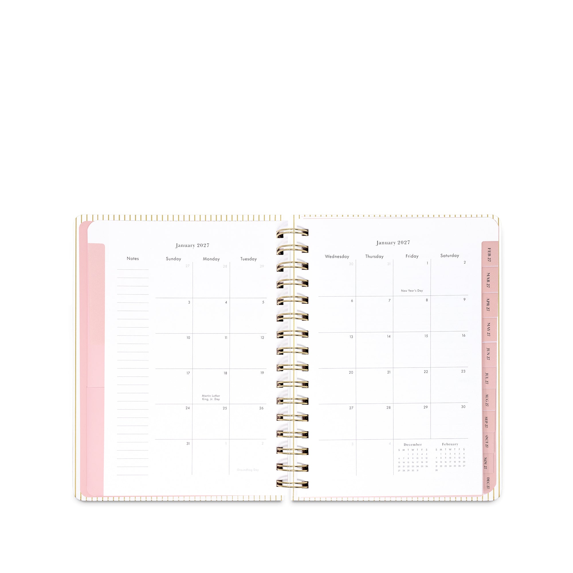 An open spiral-bound planner showing a monthly calendar layout for January 2017, with a light pink cover and white interior pages.