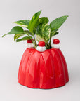 Red jelly-like planter with green plant on a light gray background