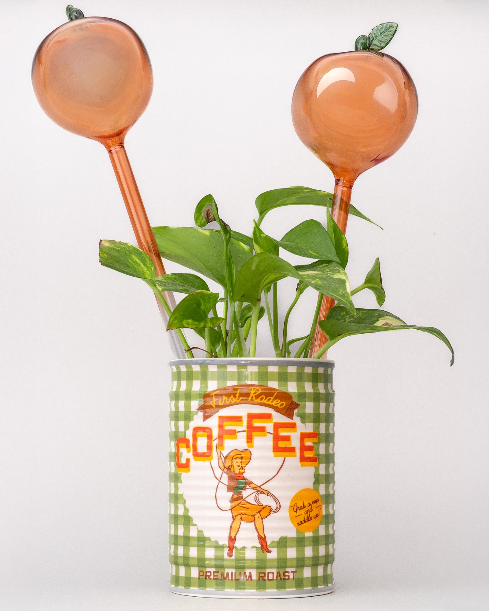Decorative plant with peach-colored pots on top of a vintage-style coffee can.