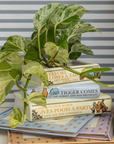 Stack of children's books with a plant and teddy bear on a striped background