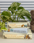 Stack of Winnie the Pooh books with a plant on top against a striped wall.