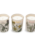 Votive Candle Set of 3, Wildflowers (Courtyard Blooms)