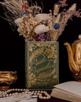 Book titled 'Pride and Prejudice' by Jane Austen with decorative elements on a dark background