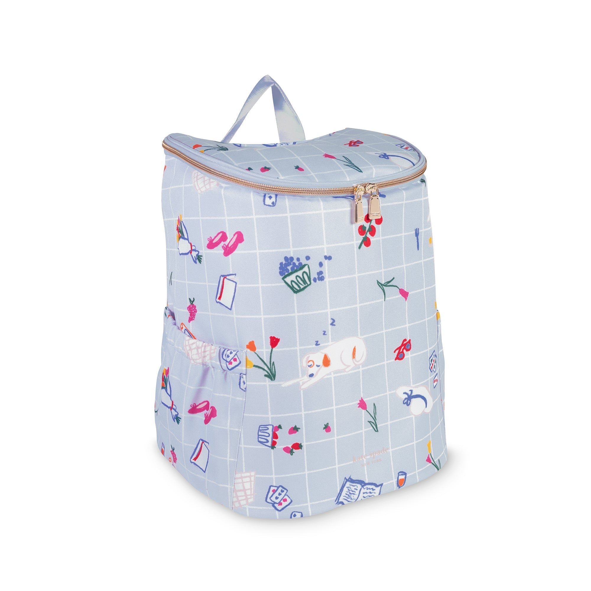 Backpack Cooler, Park Picnic