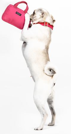 Chew Toy, Pink Handbag