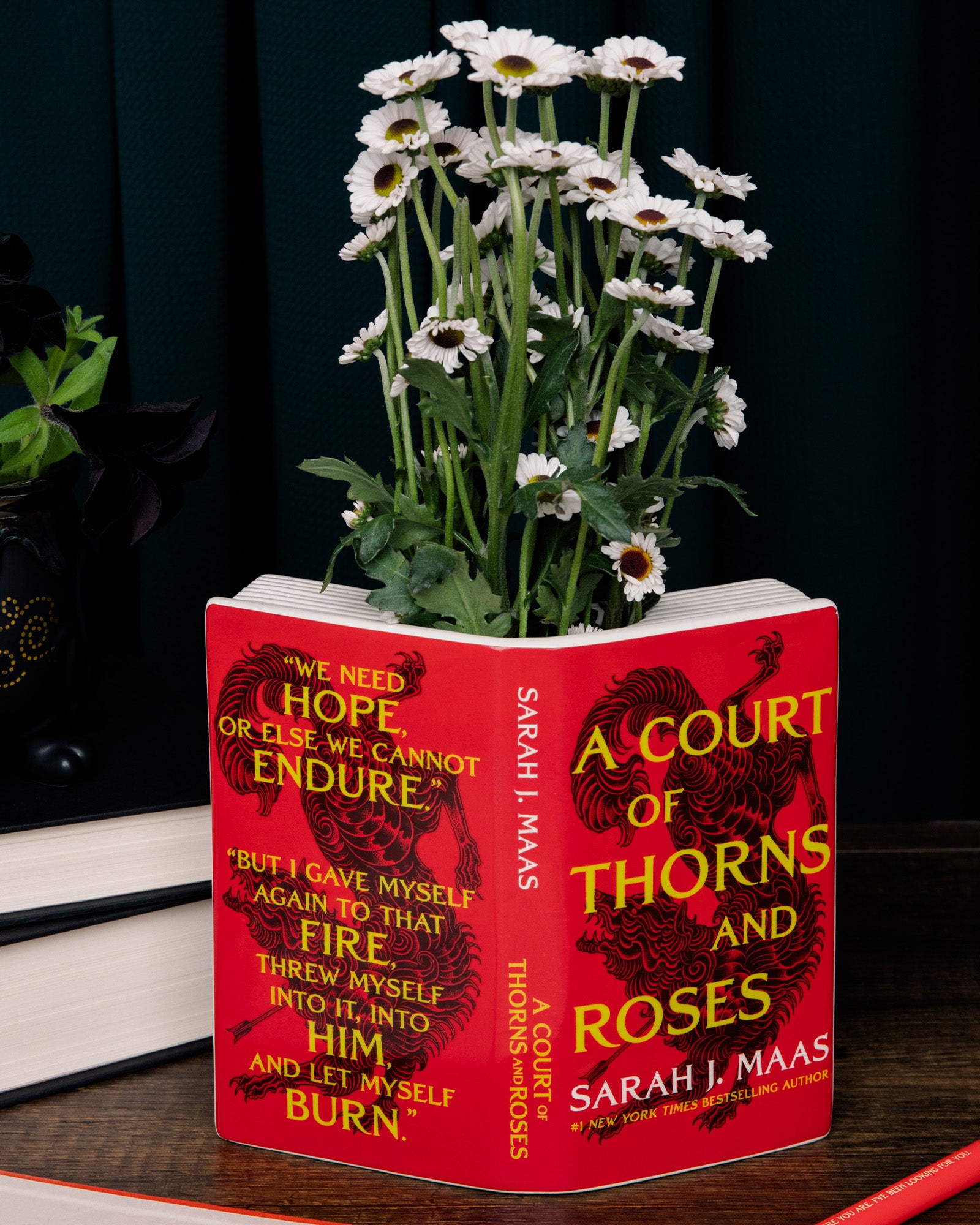 Book-shaped vase with 'A Court of Thorns and Roses' book design, filled with white flowers.