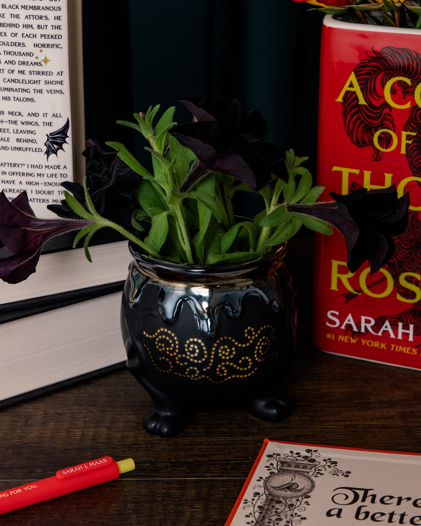 Decorative pot with plants on a table next to books and a pen