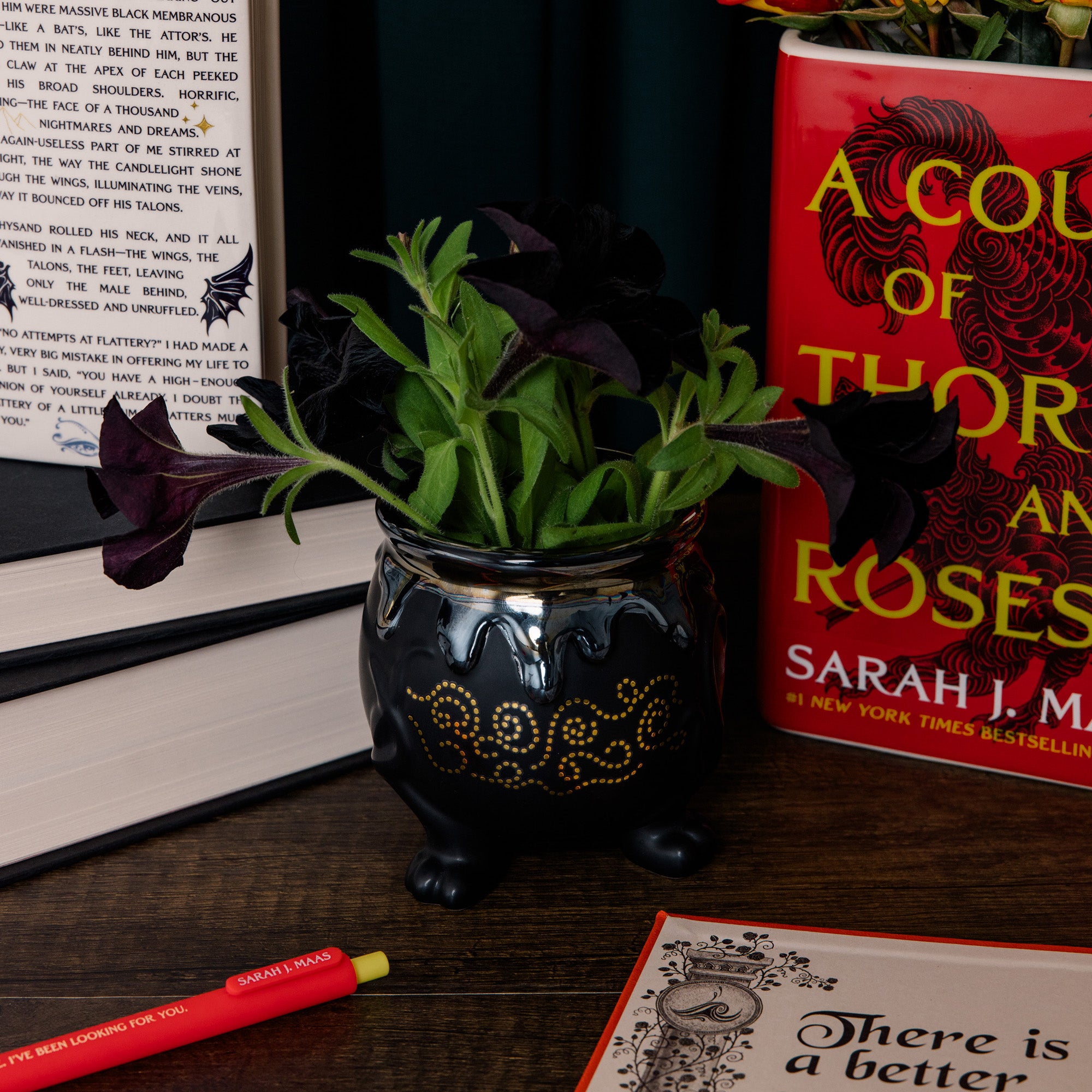 Decorative pot with plants on a table next to books and a pen