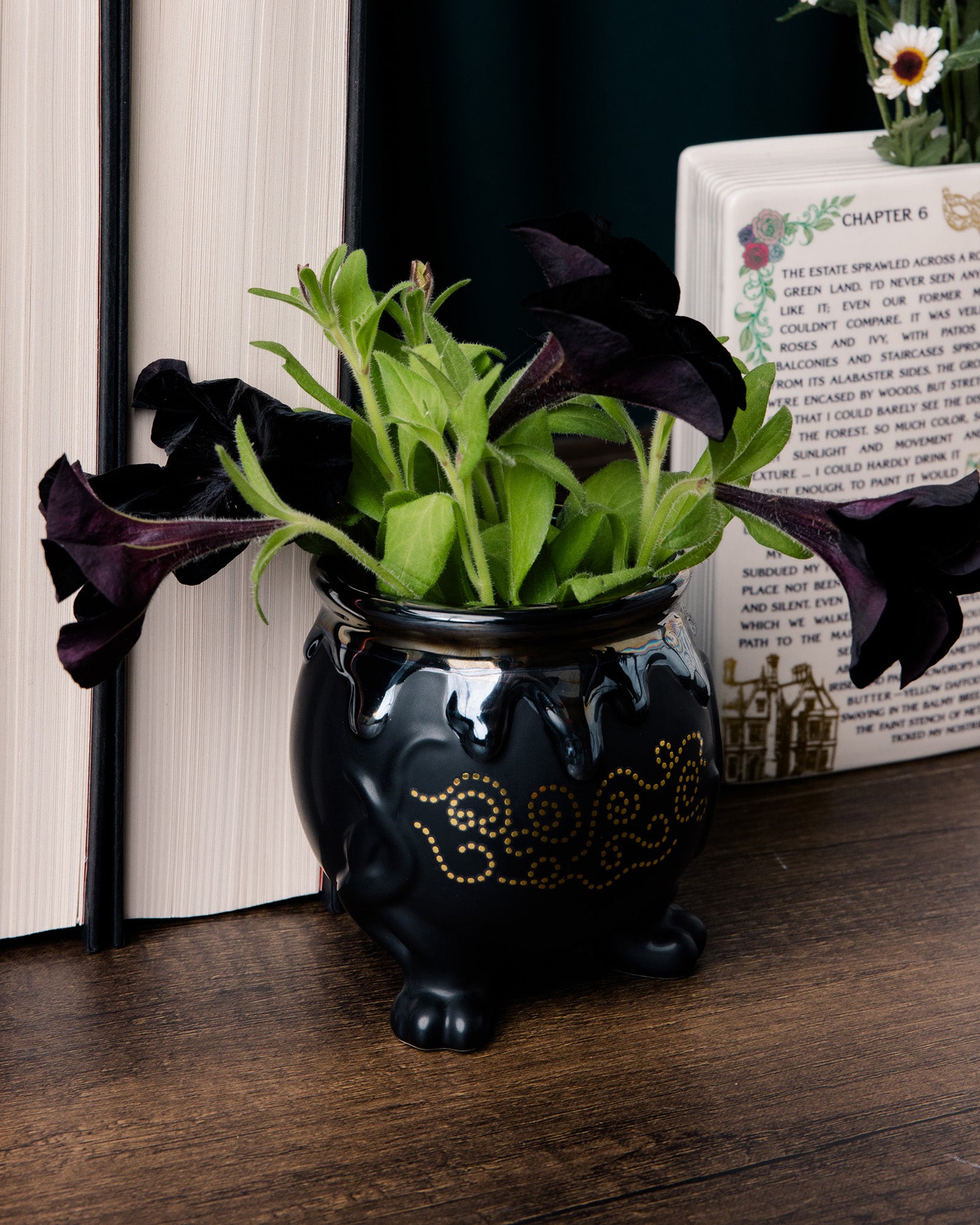 side view of black ceramic pot with yellow decorative pattern on a white background with dark purple flowers inside