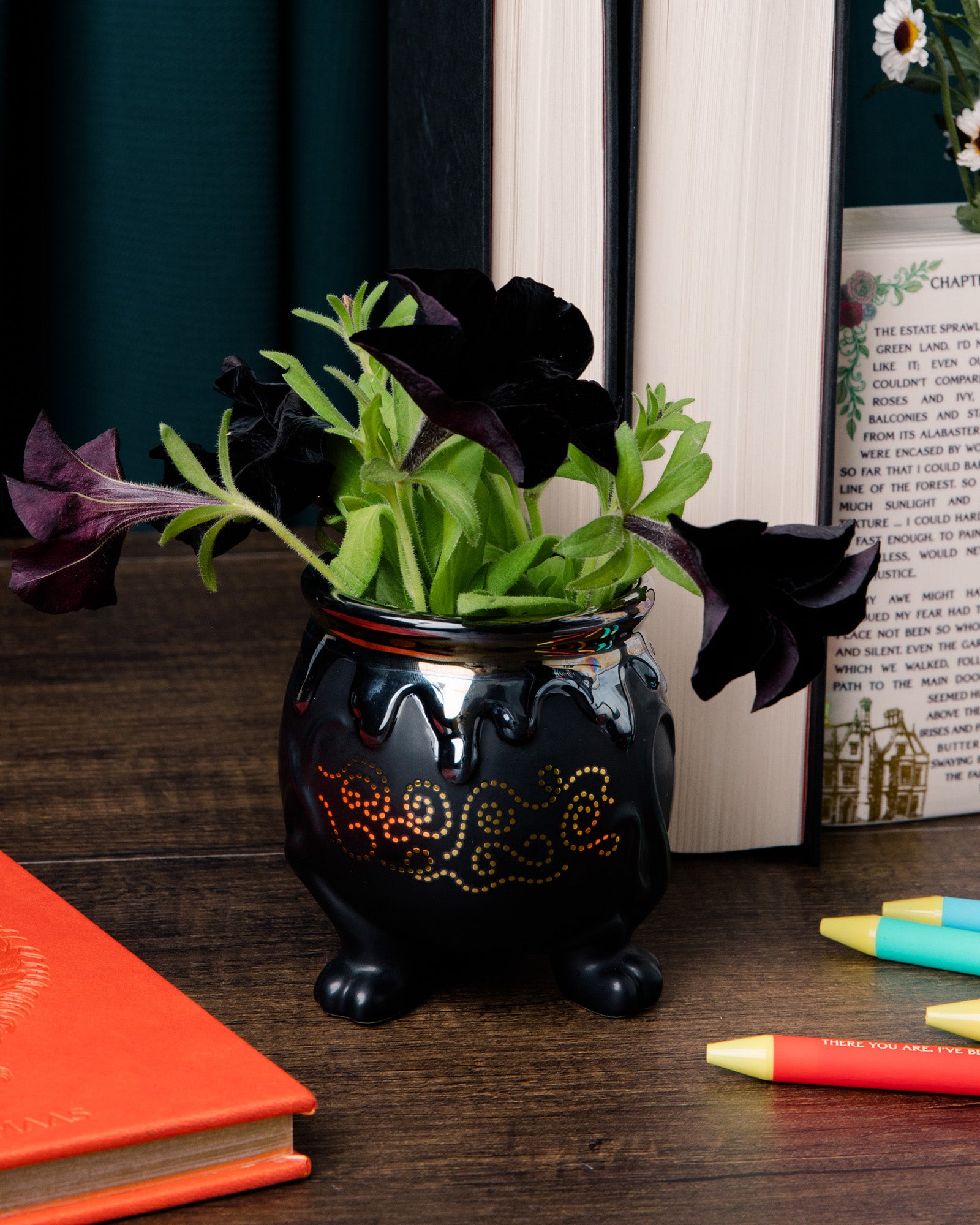 Black decorative pot with plants on a wooden surface next to books and markers