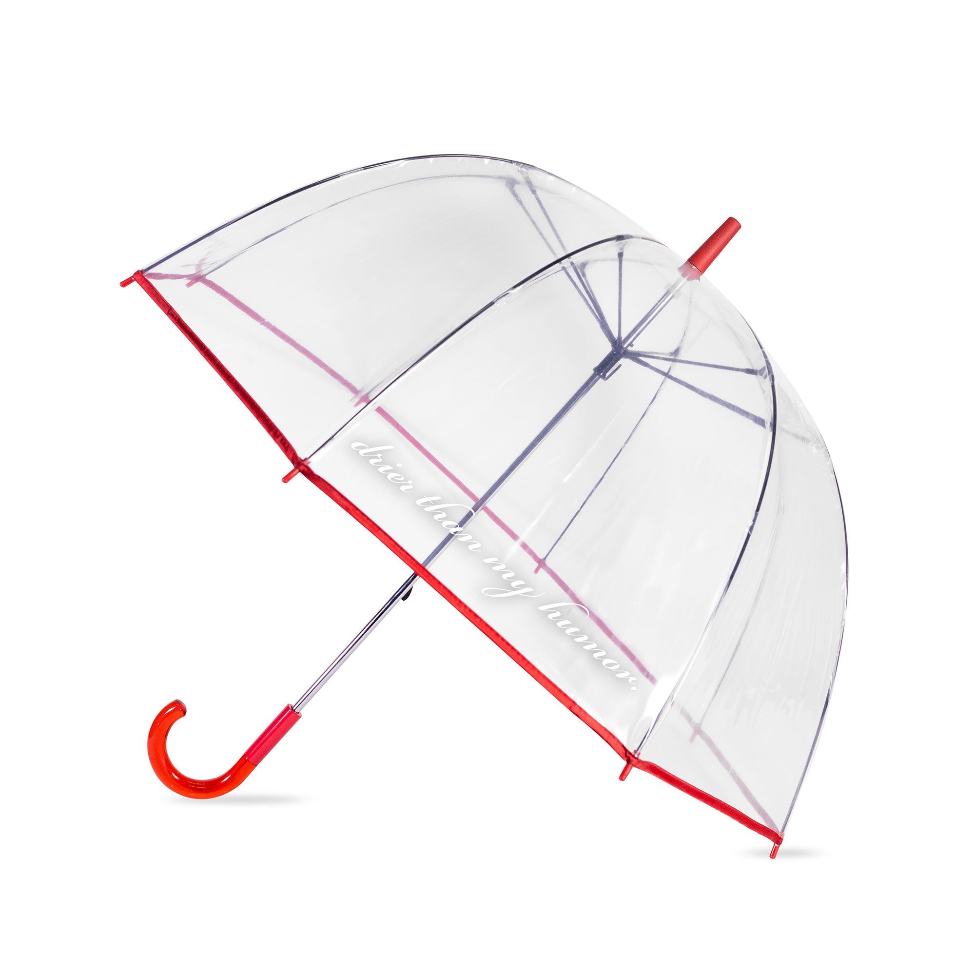 Clear Umbrella, Drier Than My Humor