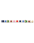 Small Dog Collar, Adventure Stripe