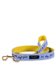 Large Dog Leash, Raining Cats and Dogs