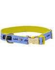 Large Dog Collar, Raining Cats and Dogs