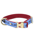 Small Dog Collar, Raining Cats and Dogs