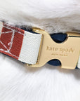 Small Dog Collar, Adventure Stripe