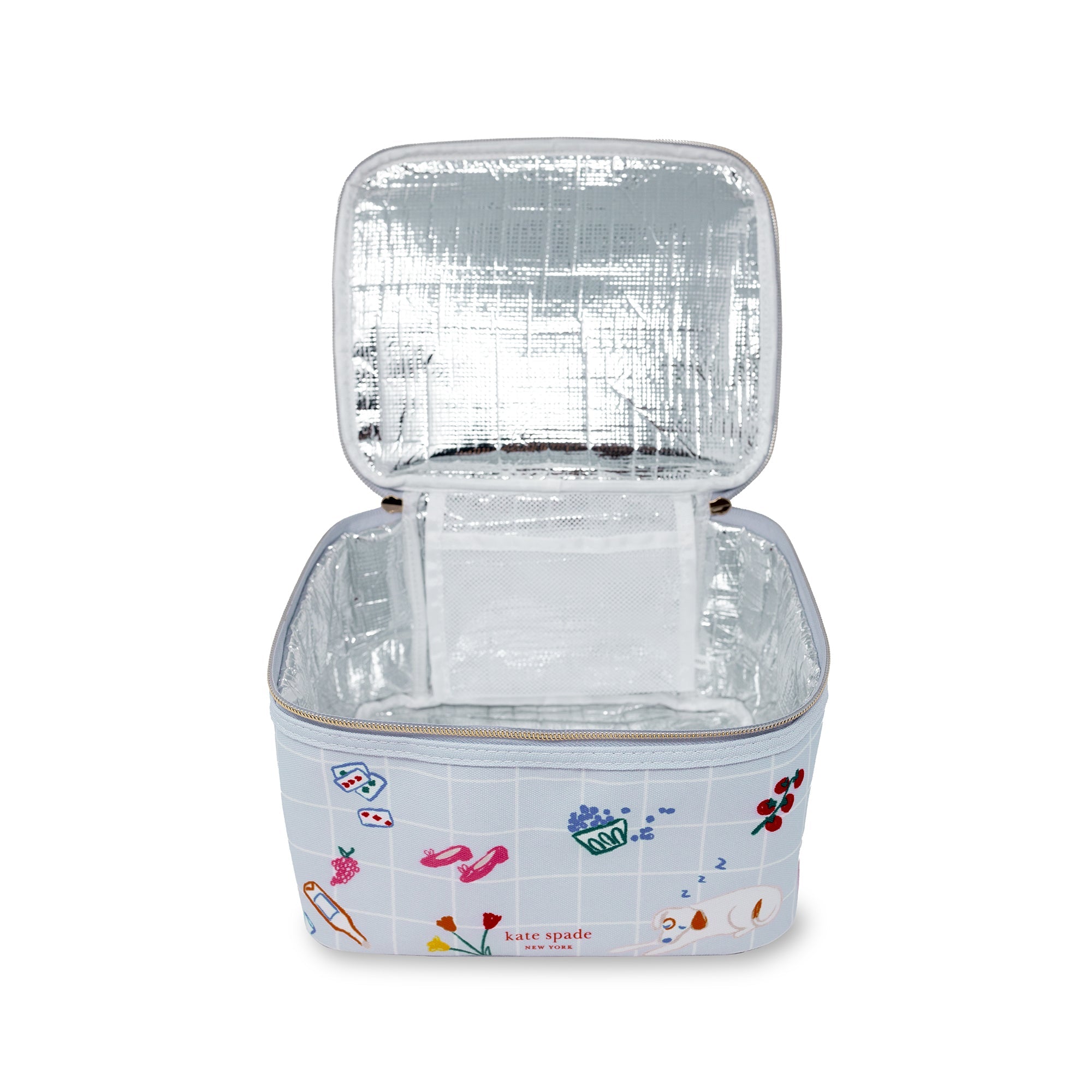 Lunch Box, Park Picnic