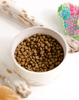 White bowl filled with dog food next to a dog's paw on a white background