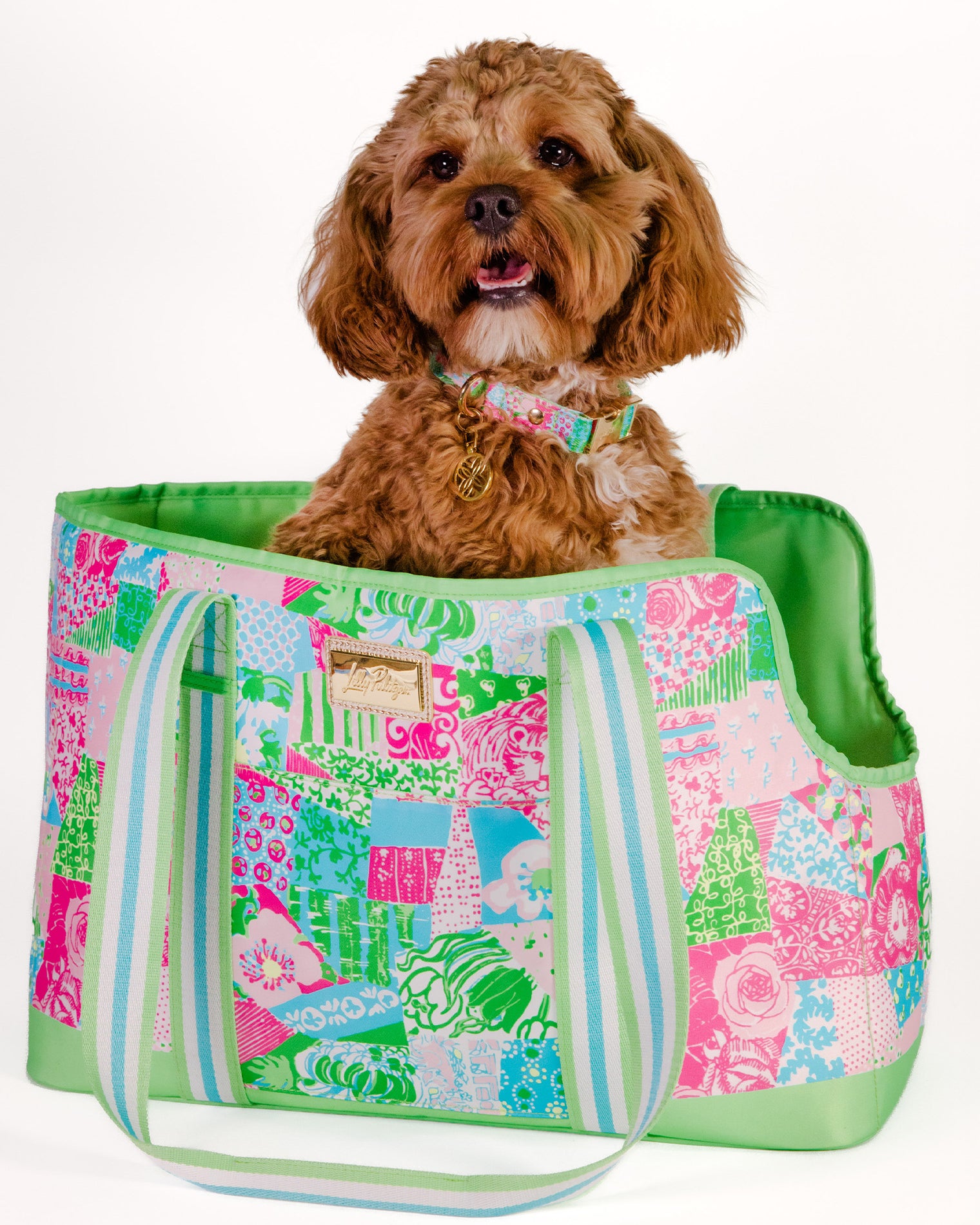 Dog sitting inside a colorful pet carrier with a patterned design.