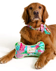 Dog wearing a colorful collar with a matching bone-shaped toy on a white background