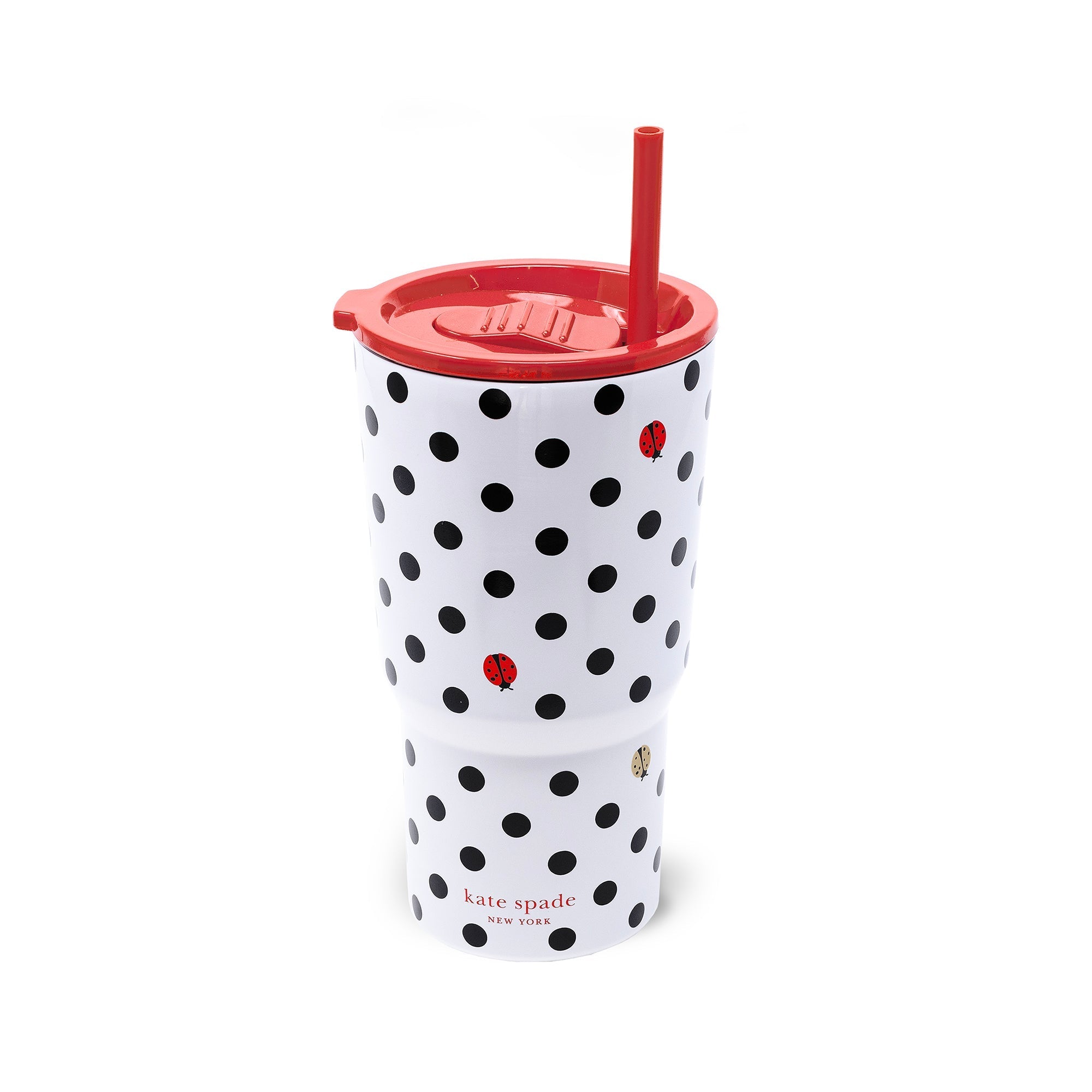 Stainless Steel 20 oz. Tumbler, Ladybug Dot