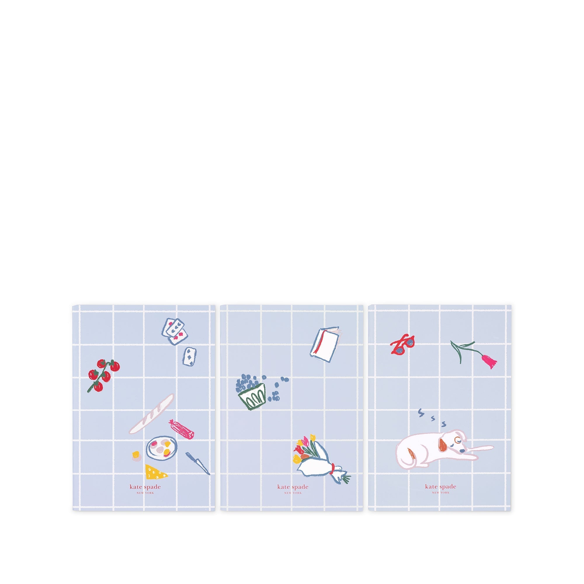 Triple Notebook Set, Park Picnic