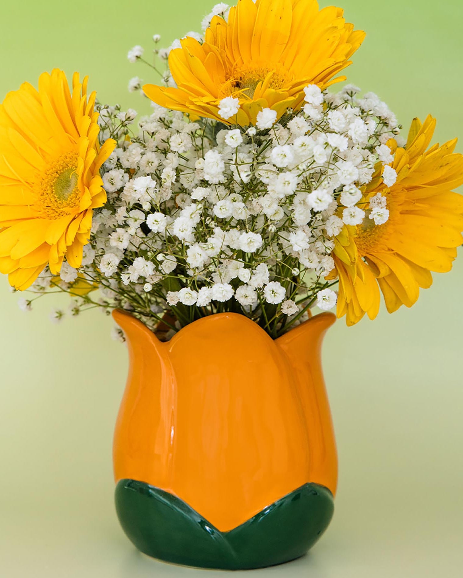 Vase with yellow flowers and white baby's breath on a green background