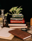 Stacked Book Planter, Literary Classics