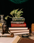 Stacked Book Planter, Literary Classics