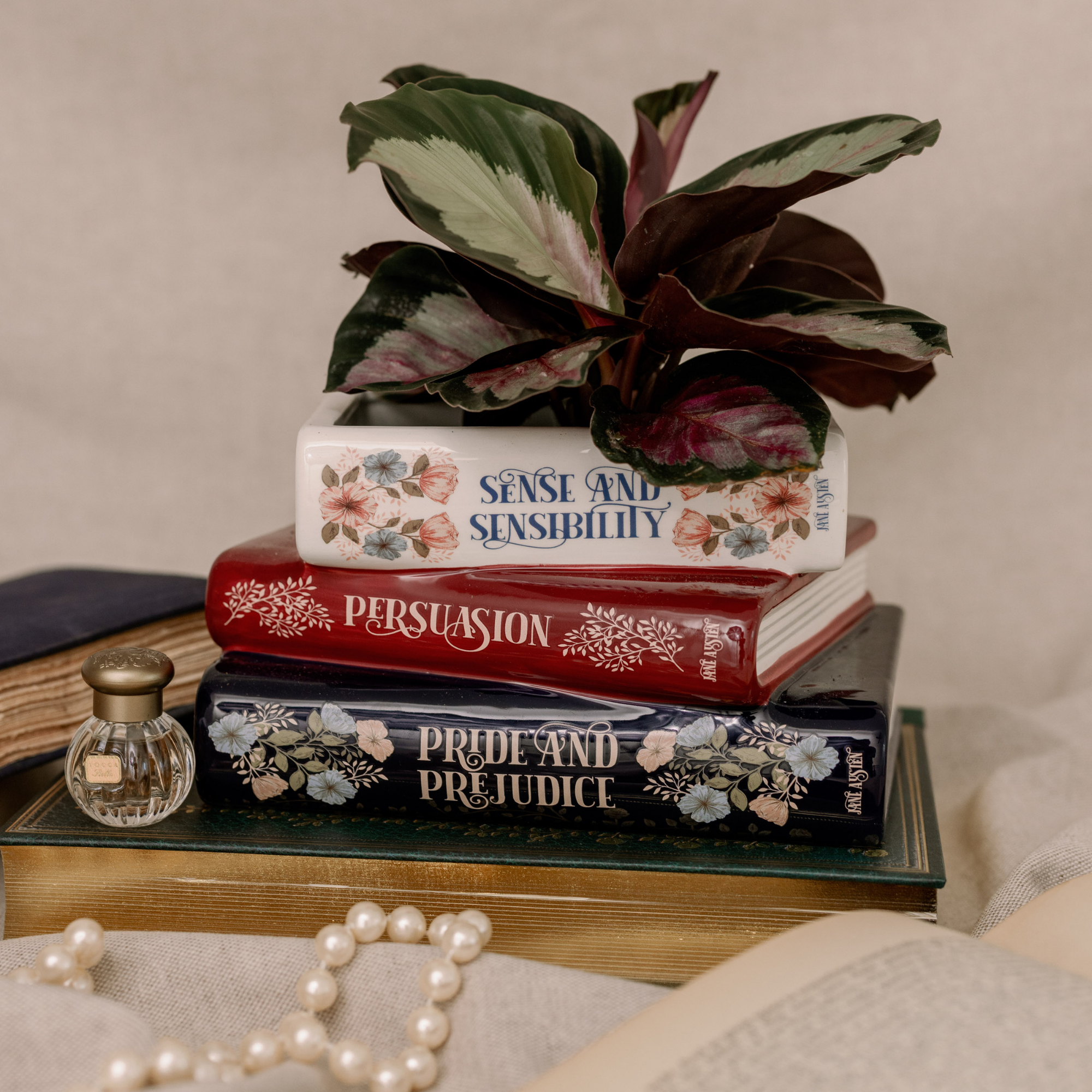 Stack of books including 'Sense and Sensibility', 'Persuasion', and 'Pride and Prejudice' with a plant on top.