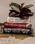 Stack of books including 'Sense and Sensibility', 'Persuasion', and 'Pride and Prejudice' with a plant on top.
