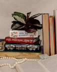 Stack of books with decorative covers, a plant, and pearls on a neutral background