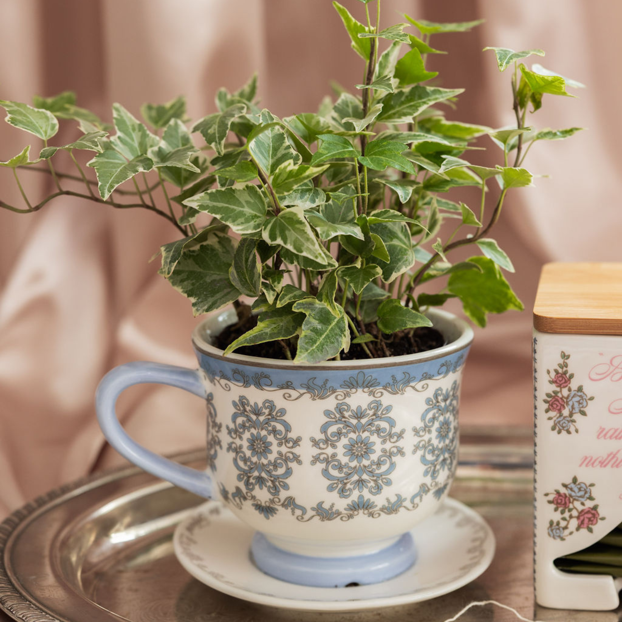 Decorative teacup with a plant inside on a table