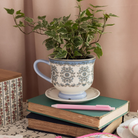Decorative cup with plant, books, and pen on a table against a pink wall.