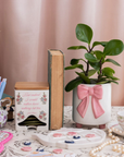 Decorative items including a potted plant with a pink bow, books, and a teapot on a table with a pink curtain background.