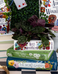 Stack of books with decorative covers featuring illustrations, including 'Alice's Adventures in Wonderland' and 'The Secret Garden'.