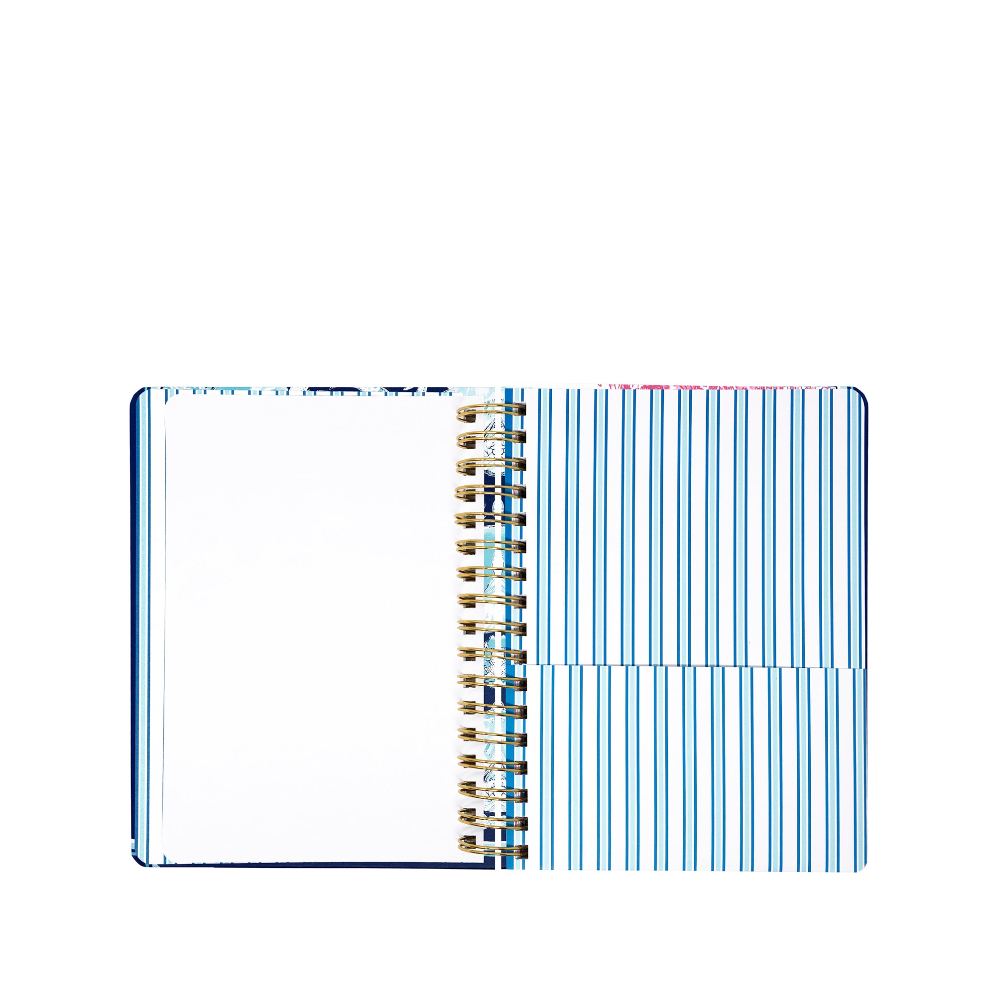 Open notebook with spiral binding on a white background