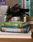 Stack of books with decorative covers on a white surface, surrounded by flowers and plants.
