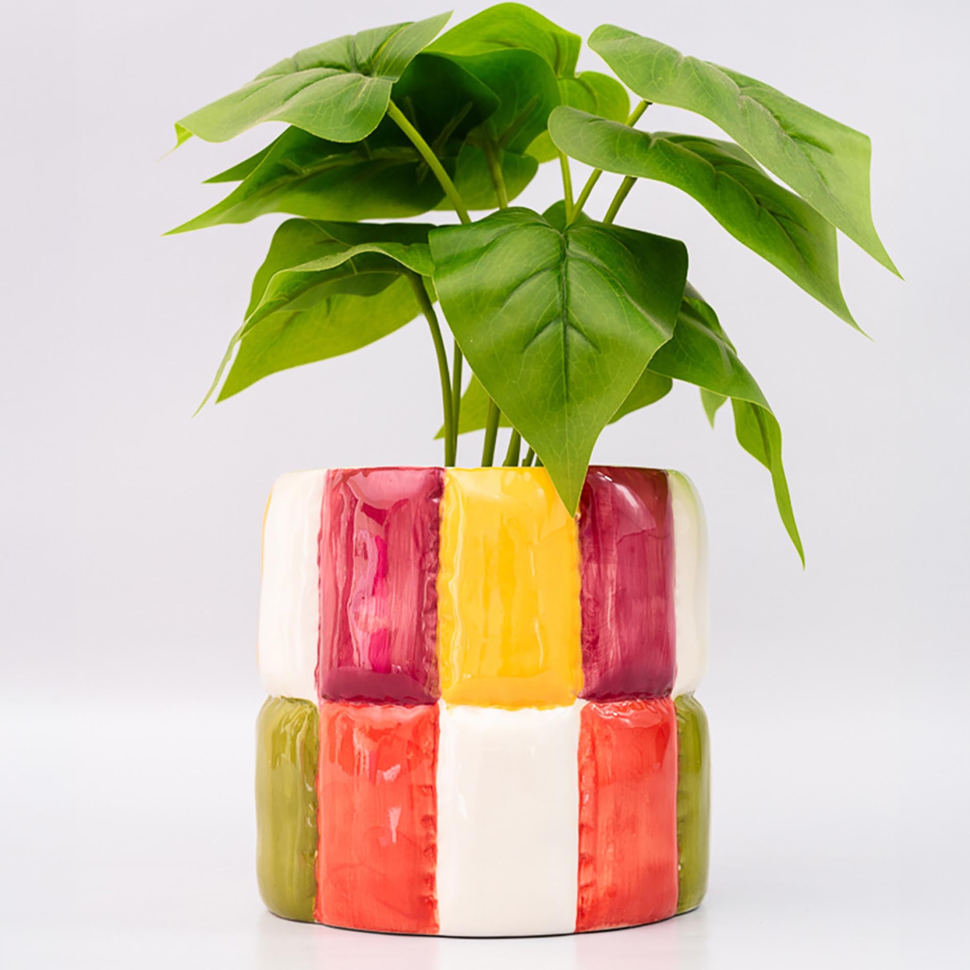 Colorful checkered planter with a green plant on a white background