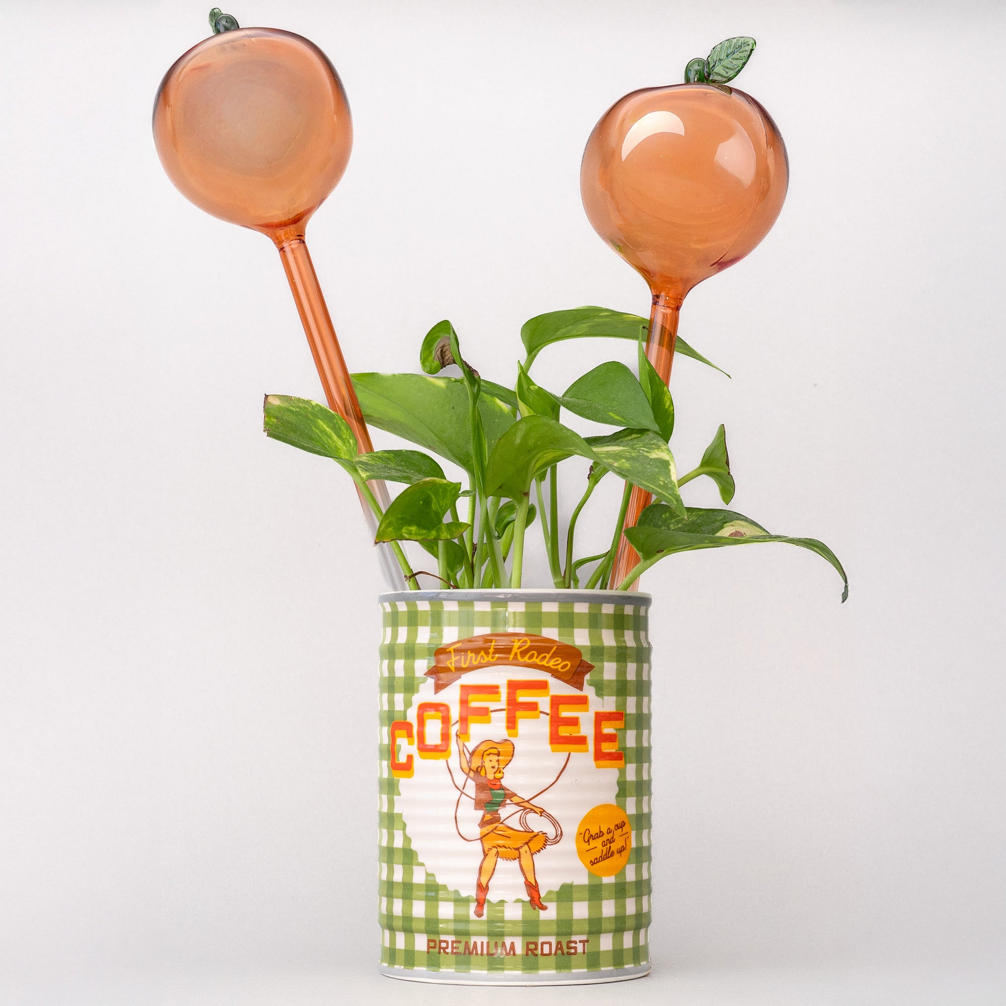Decorative plant with peach-colored pots on top of a vintage-style coffee can.