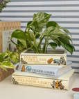 Decorative planter made from stacked Winnie the Pooh books with a plant inside, against a striped wall.