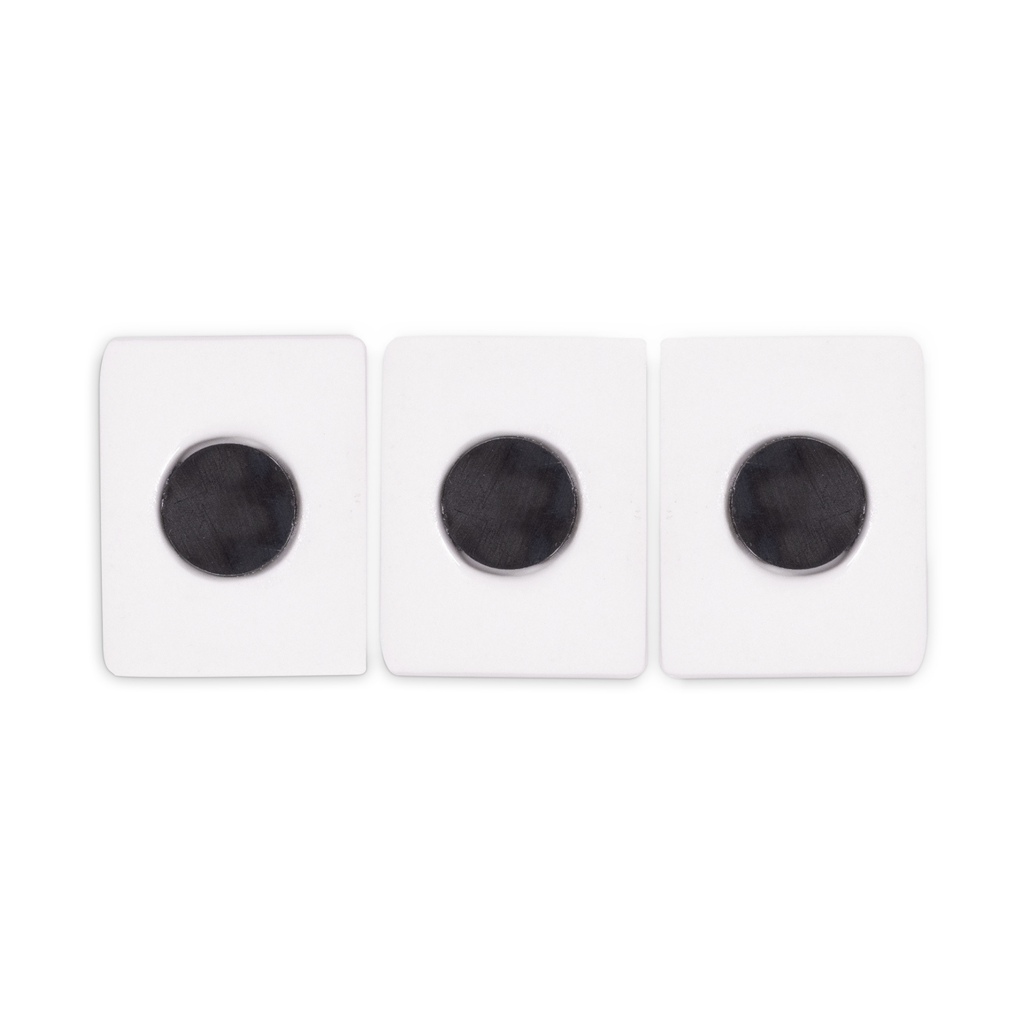 Book Magnet Set of 3, Wildflowers