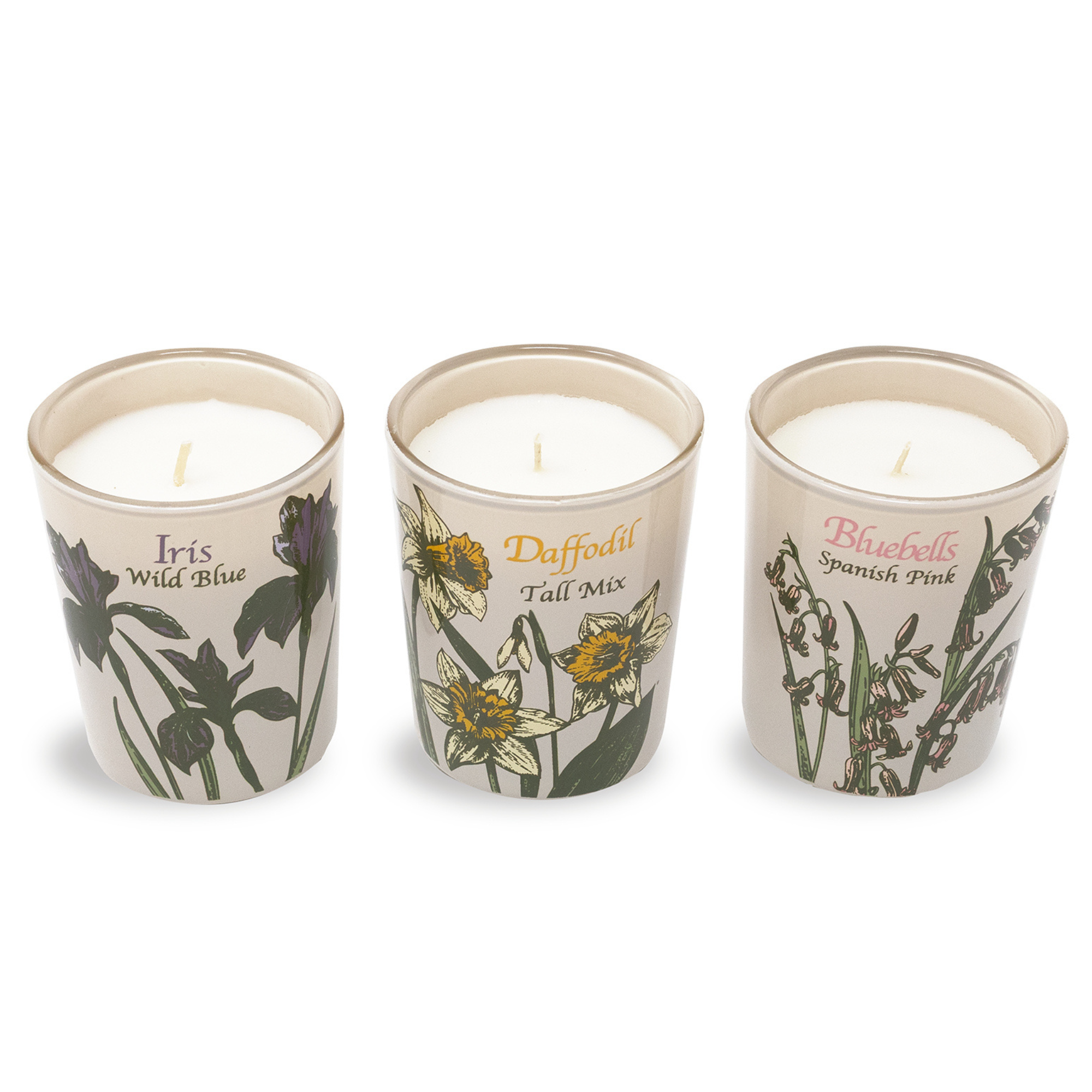 Votive Candle Set of 3, Wildflowers (Courtyard Blooms)