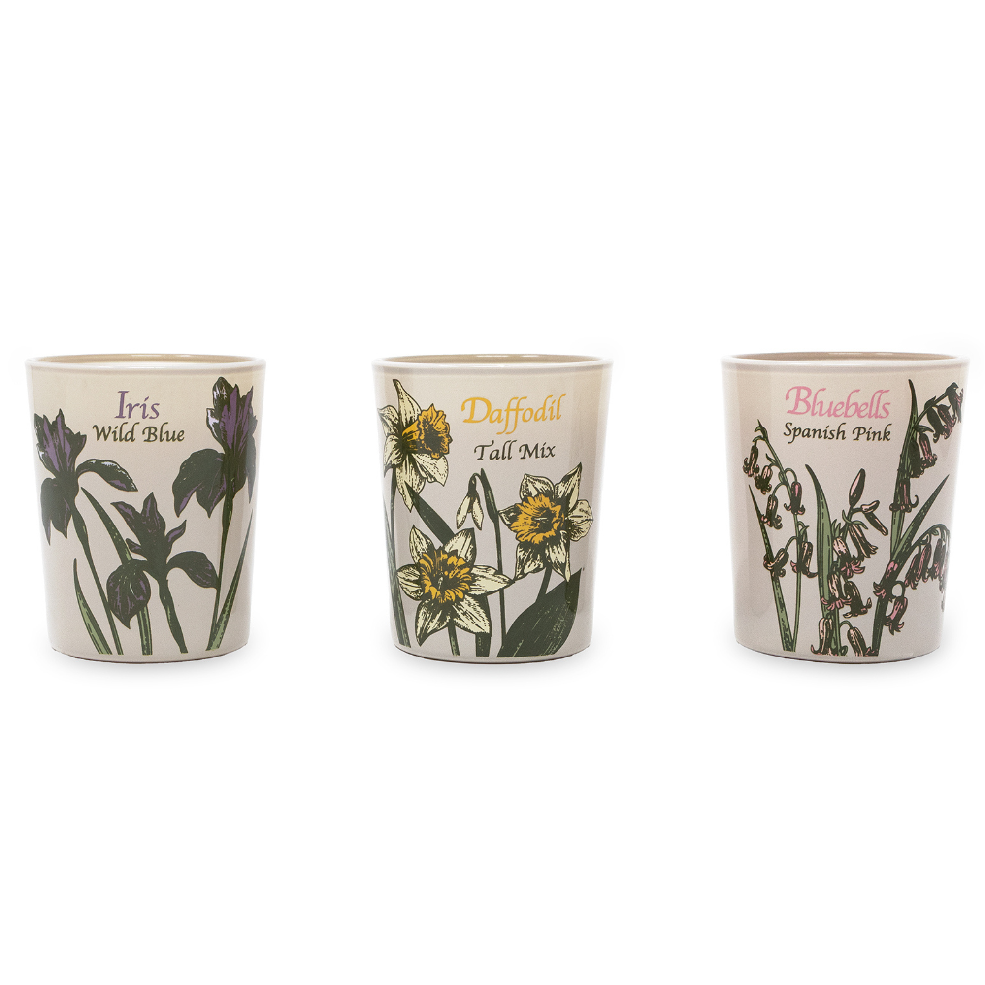 Votive Candle Set of 3, Wildflowers (Courtyard Blooms)