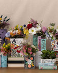 Stacked Books Planter, Pastel Classics