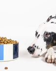 Small Pet Bowl, Adventure Stripe