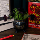 Decorative pot with plants on a table next to books and a pen