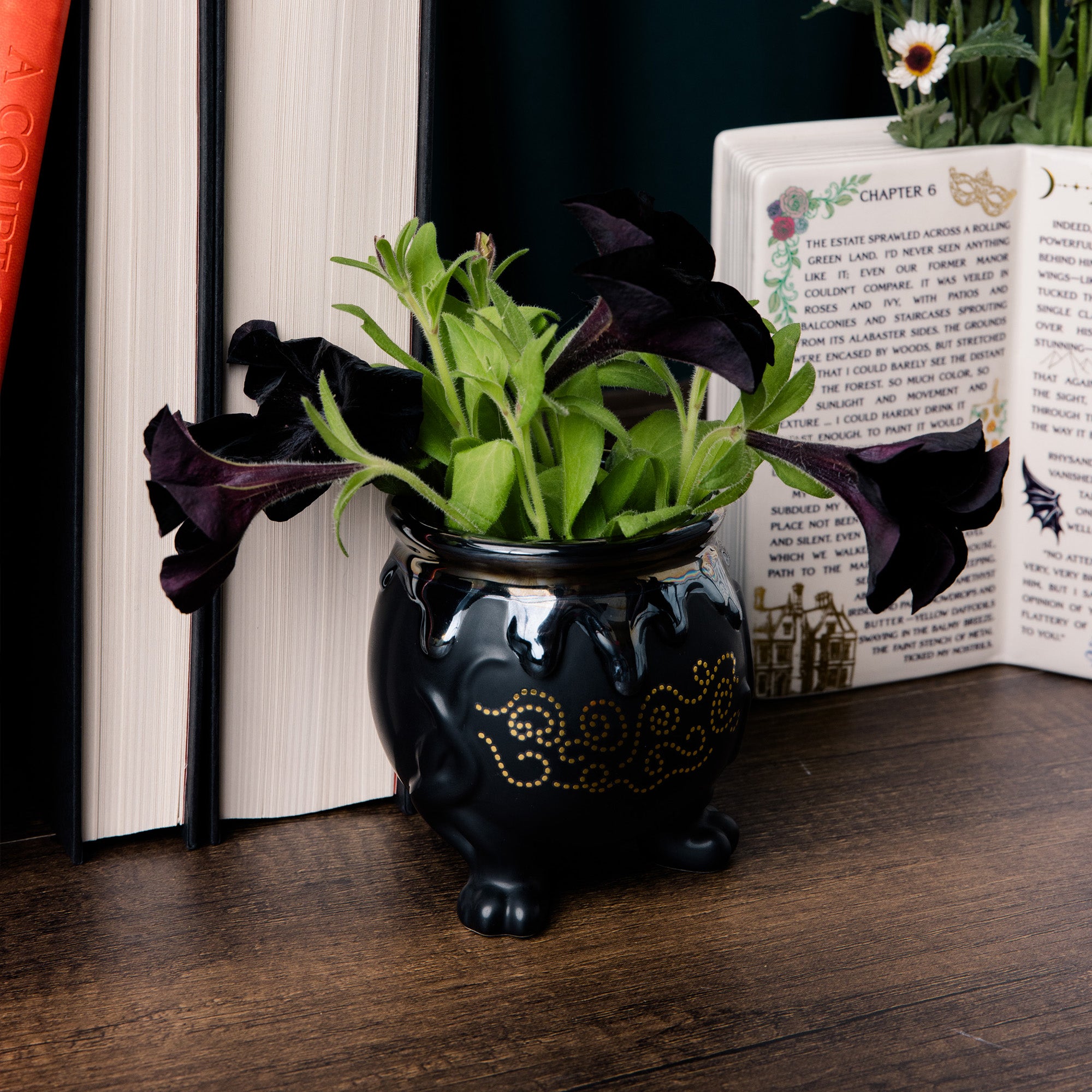 side view of black ceramic pot with yellow decorative pattern on a white background with dark purple flowers inside